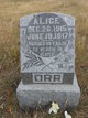  Alice Orr