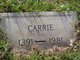  Margaret Catherine “Carrie” <I>Thrasher</I> Holland