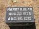  Harry Henry Bean