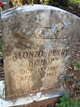  Alonzo Perry Bishop