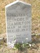  Thomas Lincoln Hamilton
