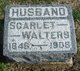  Scarlet Walters