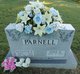 Kenneth Neil Parnell Photo