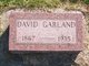  David Garland