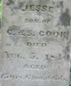  Jesse Cook