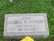  George W Stewart