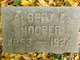  Albert Edward Hooper
