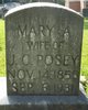  Mary Ann <I>Hood</I> Posey