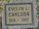  Evelyn L Carlson