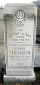  Lena Shenkow