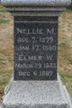  Nellie M. Nichols