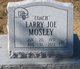 Larry Joe “Coach” Mosley Photo