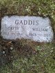  William Gaddis