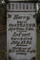  Henry “Harry” Angle Jr.
