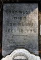  Henry Wesley Nesbitt