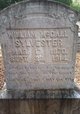 William McCall Sylvester