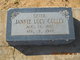  Jannie Lucy Gulley