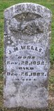  J. M. Wells