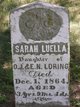  Sarah Luella Loring