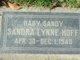 Sandra Lynne “Sandy” Hoff Photo