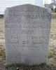 Rev William Williams