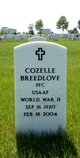  Cozelle Breedlove