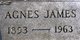  Agnes Gertrude <I>Danford</I> James