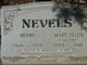  Mary Ellen “Nellie” <I>Baldwin</I> Nevels