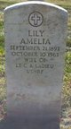  Lily Amelia La Dieu