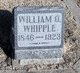  William Orland Whipple