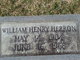  William Henry Herron