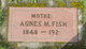  Agnes M Fish