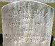  John Hay Jr.