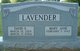  David E. Lavender