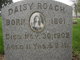  Daisy Roach