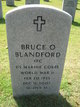  Bruce O Blandford