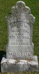  David Milton Morton