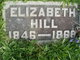  Elizabeth “Lizzie” <I>Thrasher</I> Hill