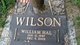  William Hal Wilson