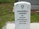Anthony L. “Tony” Arnold Photo