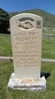  James Pope Paskett