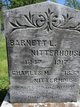  Barnett Lewis Nitterhouse