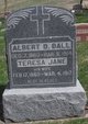  Albert Ball