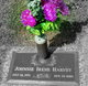 Johnnie Irene Eakes Harvey Photo