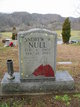  Andrew W. Null