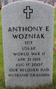  Anthony Edward Wozniak
