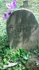  Josephine Johnson