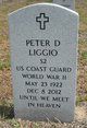  Peter D Liggio