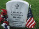 Profile photo: Sgt Charles Anthony Brown