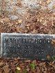  Mary Elizabeth “Lizzie” <I>Moore</I> Hood